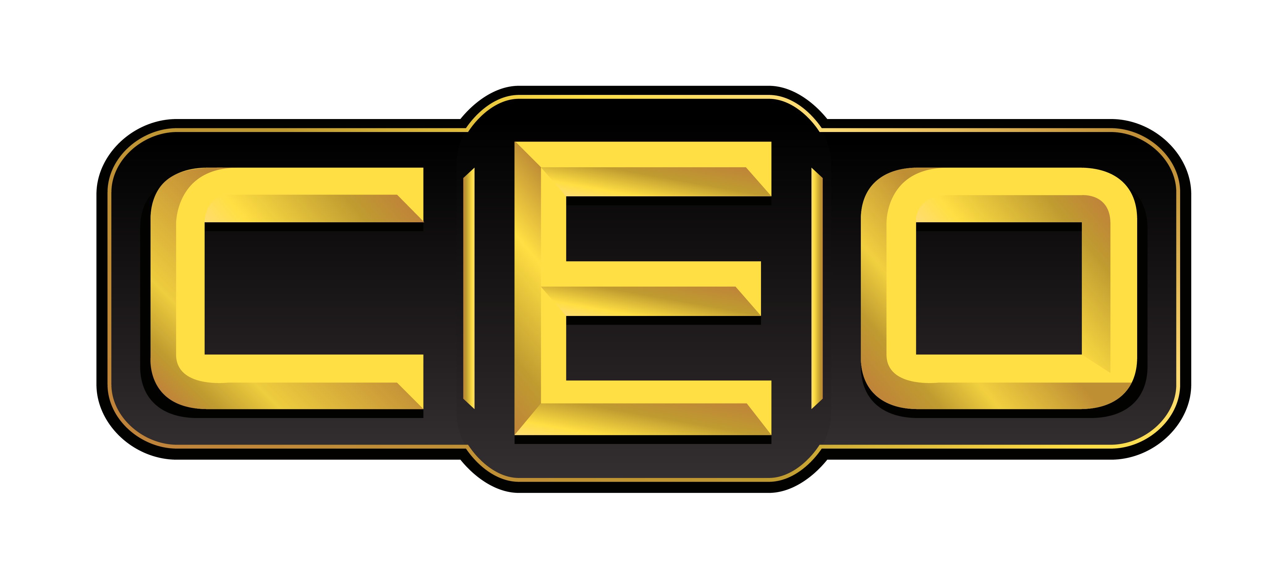 Image result for ceo